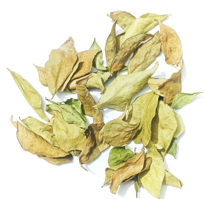 Curry Leaves